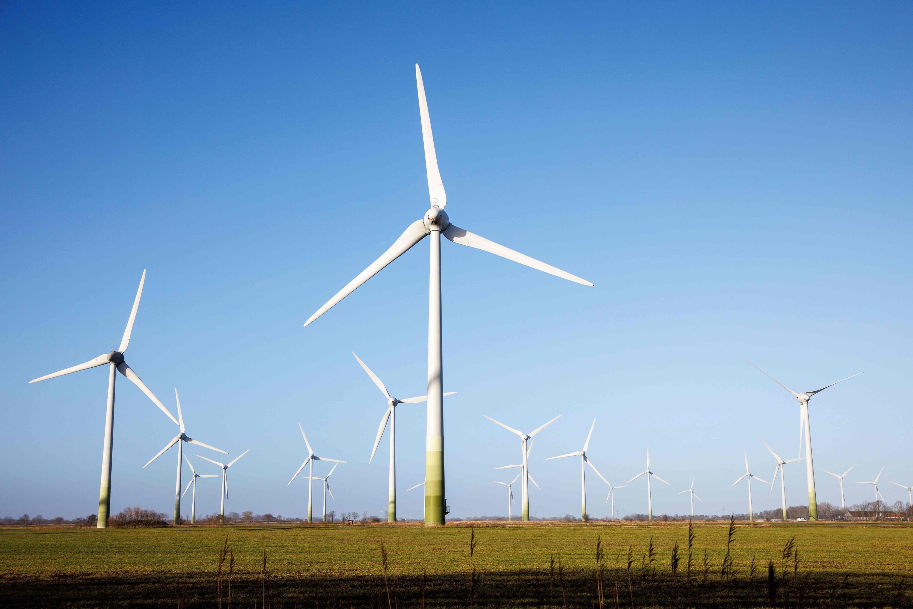 Energia eólica é a fonte mais importante de geração de eletricidade na  Alemanha