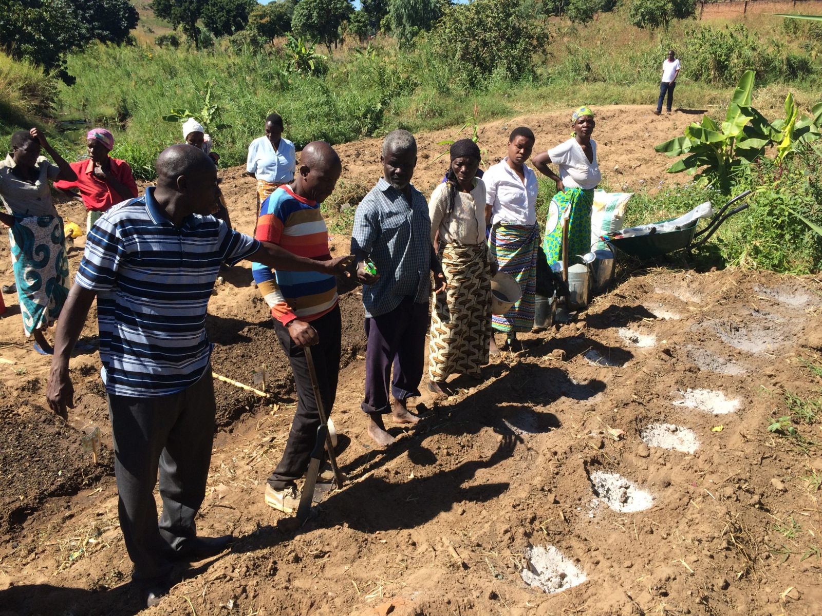 African Gardening Lessons 