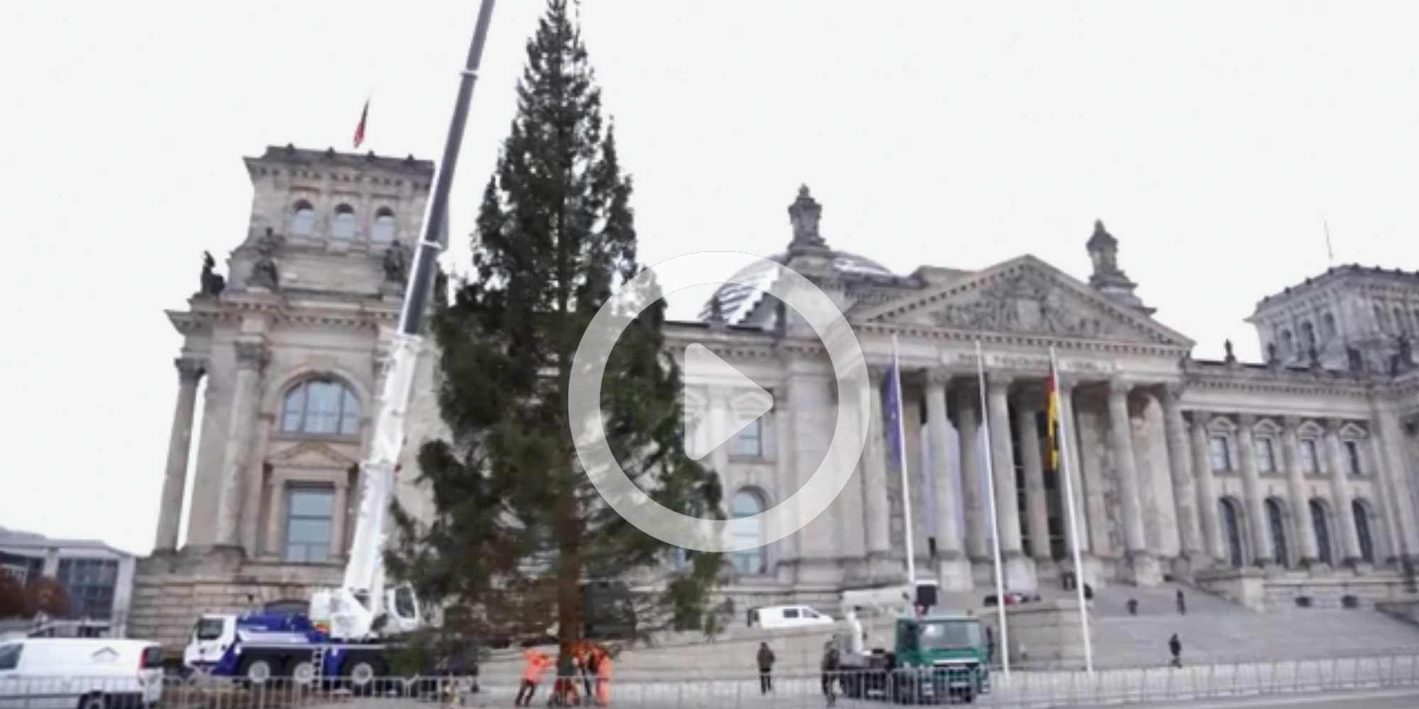 Weihnachtsbaum vor dem Reichstag aufgestellt