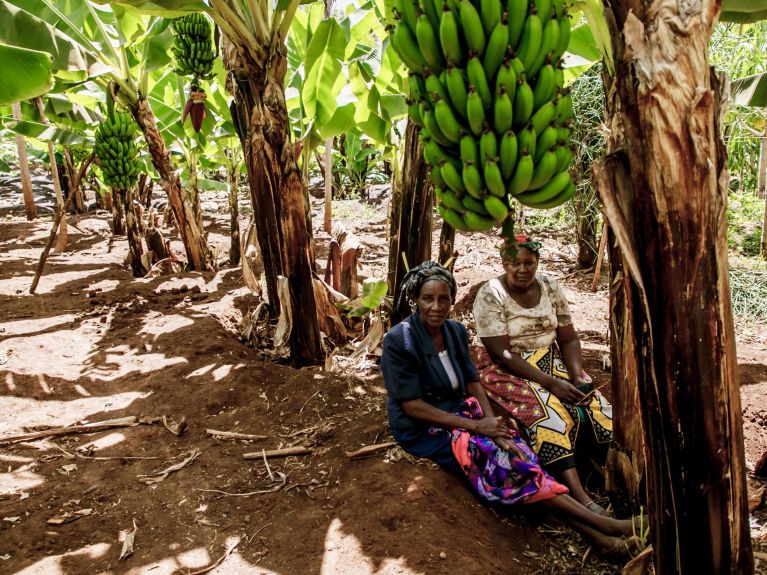 Deutschland und die Afrikanische Union wollen gemeinsam eine nachhaltige Landwirtschaft fördern.