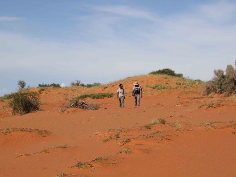 There is widespread drought in the Kalahari. There is widespread drought in the Kalahari.