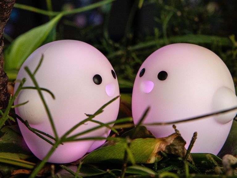 The cute “Circulars” help visitors find their way around.  The cute “Circulars” help visitors find their way around.