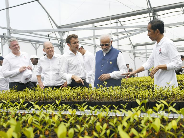 A number of heads of state and government visit a greenhouse in Bali. A number of heads of state and government visit a greenhouse in Bali.