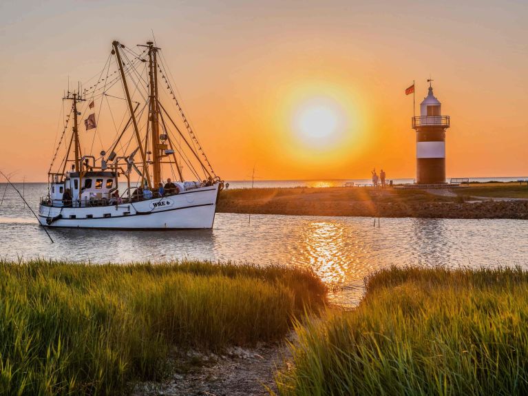 Um barco de pesca típico do Mar de Wadden navega até o porto.