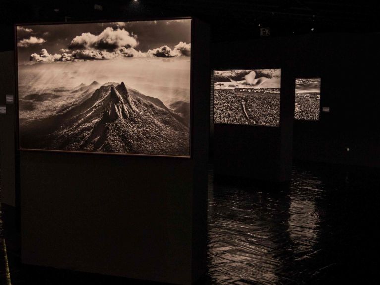 After documenting the genocide in Rwanda, Salgado decided to focus on nature photography instead.