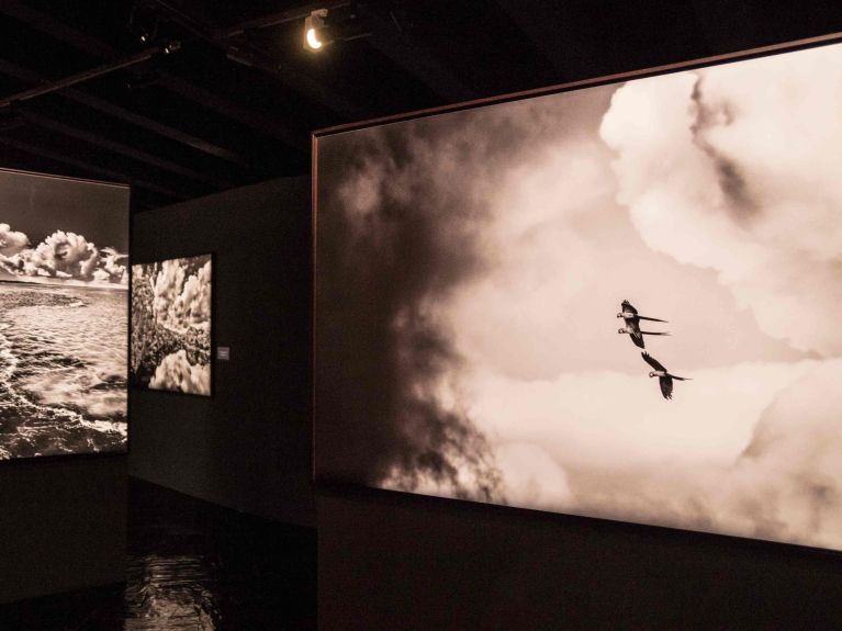 Salgado hopes that his exhibitions will persuade people to help protect the rainforest.