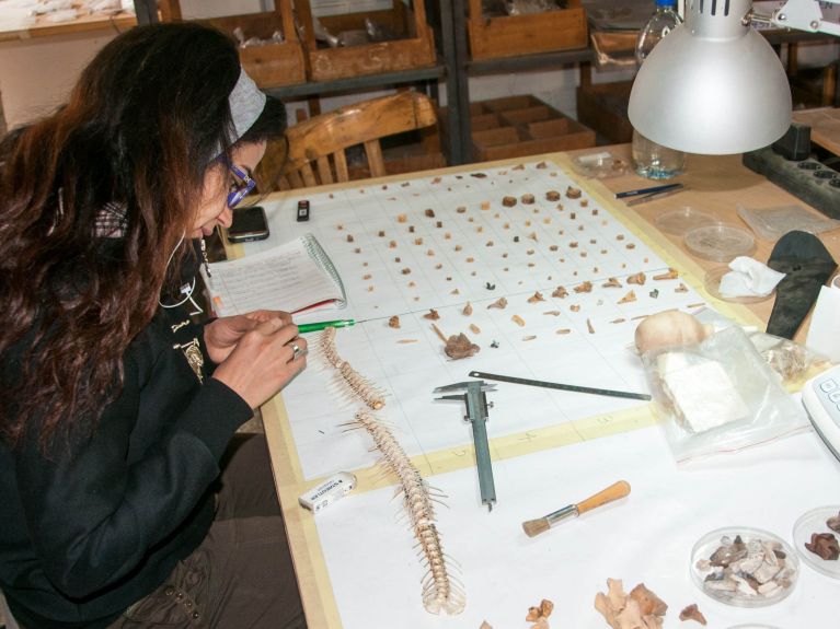 Zooarchaeologist Mariam Adel William Ekharoun sorting bones.