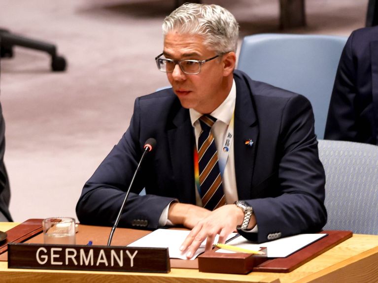 里克勒夫·布廷,德国常驻纽约联合国代表  里克勒夫·布廷,德国常驻纽约联合国代表