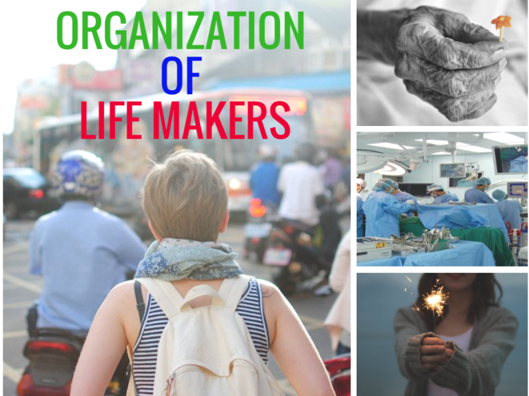 Organization of Life Makers