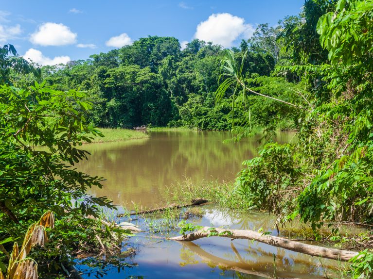 Une rivière dans le parc national de Madidi en Bolivie