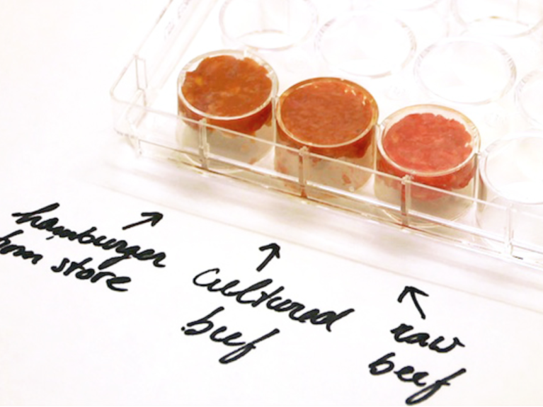 The Future of Beef The Future of Beef
