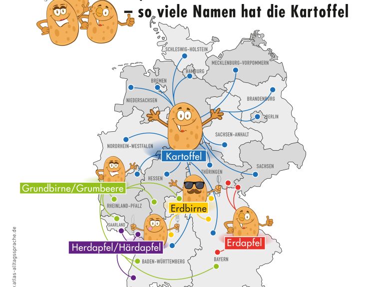 Die regionalen Bezeichnungen für Kartoffel