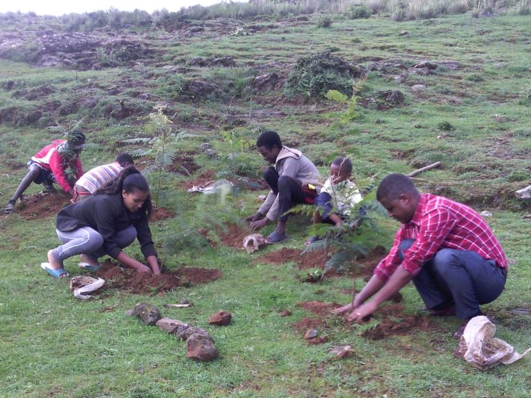 Green World Green Future Green World Green Future