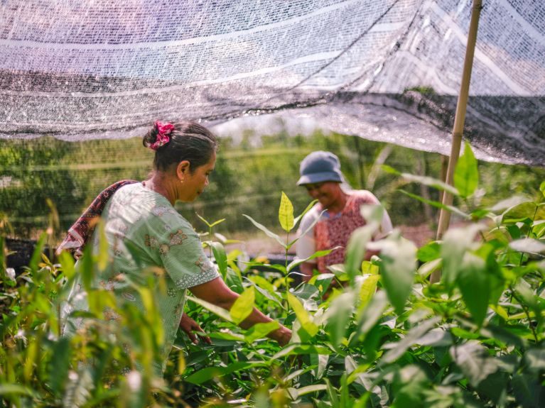 Projeto de plantio de árvores Ecosia na Indonésia