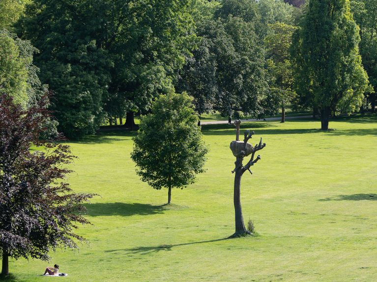 “Idee di Pietra” de Giuseppe Penone