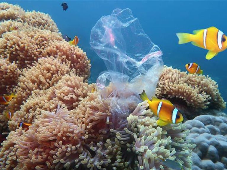 海洋中的塑料垃圾 海洋中的塑料垃圾