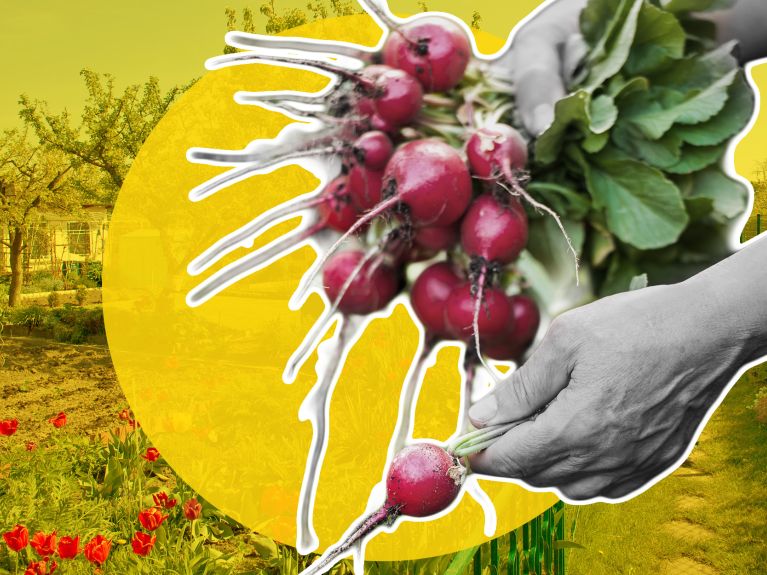 حدائق شريبر الخاصة حدائق شريبر الخاصة