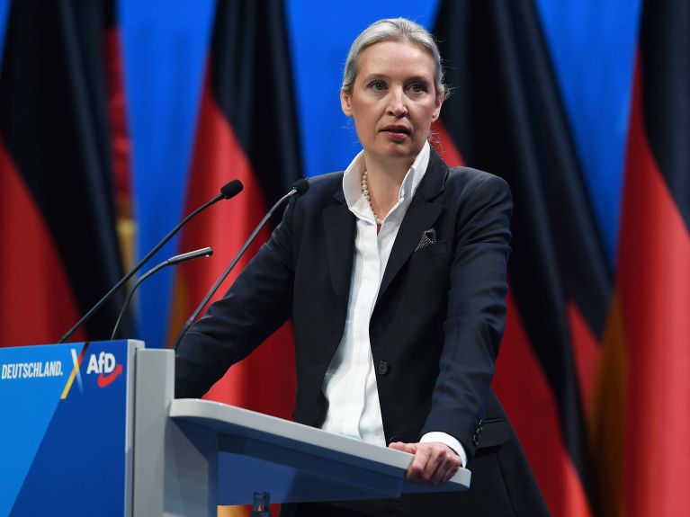 Alice Weidel, AfD