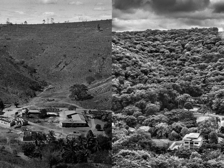 Before and after: the farm in 2000 and after reforestation in 2022 Before and after: the farm in 2000 and after reforestation in 2022