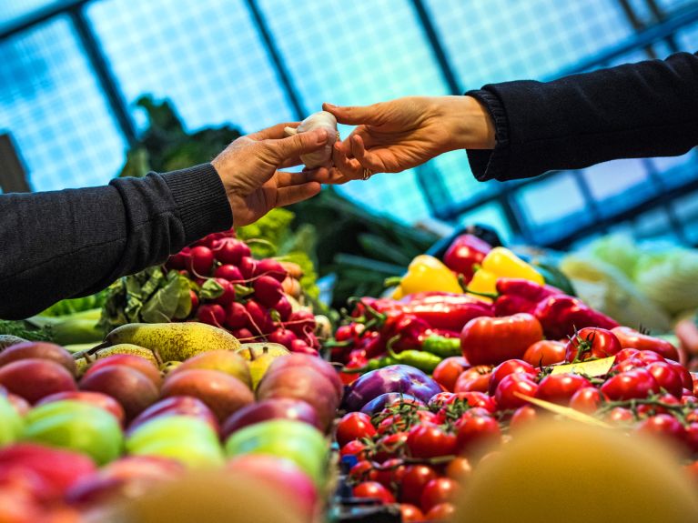 Alimentos: apreciarlos y no despilfarrarlos.