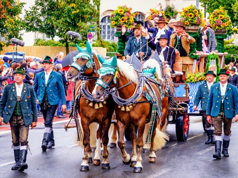 Horse-drawn wagons still traditionally bring the beer to Oktoberfest. Horse-drawn wagons still traditionally bring the beer to Oktoberfest.