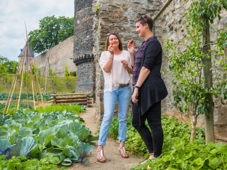 En Andernach, frutas y hortalizas están a disposición de todos. En Andernach, frutas y hortalizas están a disposición de todos.