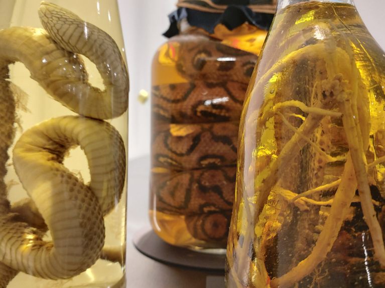 在恶心食物博物馆挑战味蕾极限  在恶心食物博物馆挑战味蕾极限