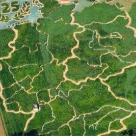 Quiz Bundesländer Quiz Bundesländer