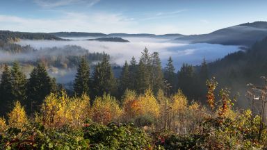 Encantadora – uma vista cheia de emoção sobre a Floresta Negra Encantadora – uma vista cheia de emoção sobre a Floresta Negra