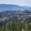 Wald in Deutschland: der Harz