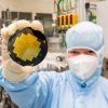 Mikrochips: Rückgrat der digitalen Welt  Mikrochips: Rückgrat der digitalen Welt