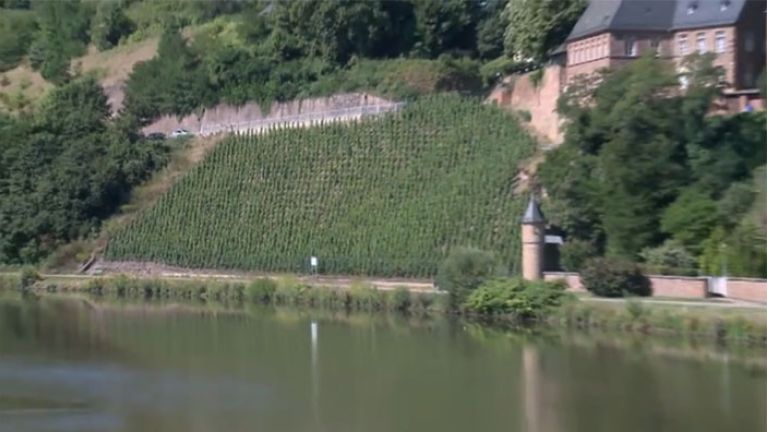 Auswärtiges Amt - Riesling Auswärtiges Amt - Riesling