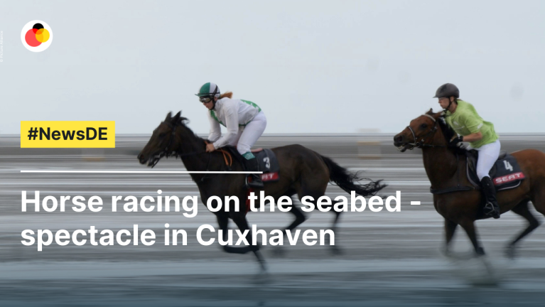 Horse racing on the seabed - spectacle in Cuxhaven